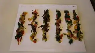 chard1