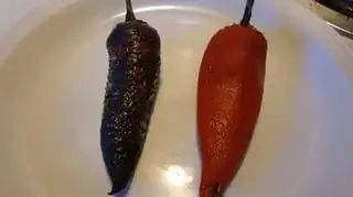 pepper2