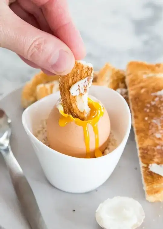 egg