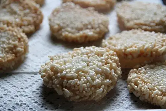 fried rice cake