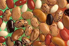 Pulses