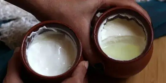 Clay Pot