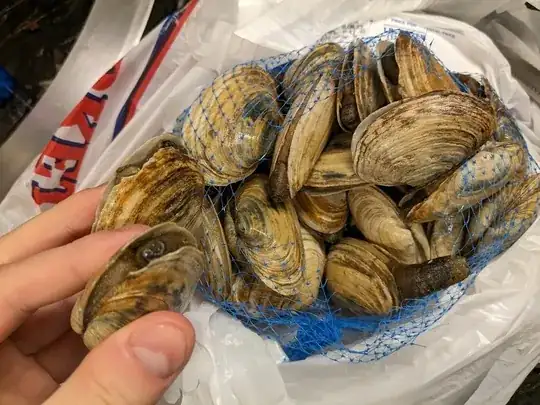 my clams