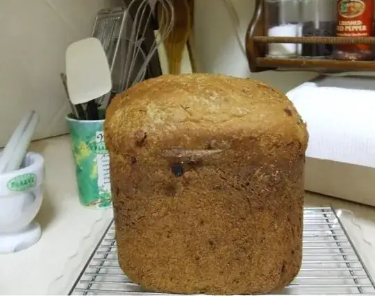 100% whole wheat w/ raisins