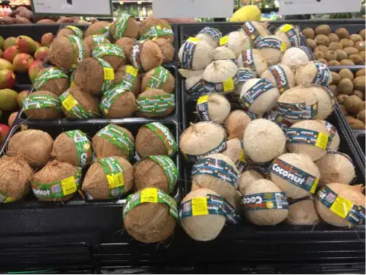 Coconuts