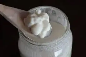 kefir