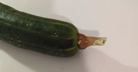 top of squash