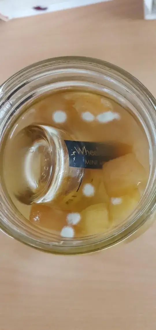 photograph of apple cider vinegar (top view)