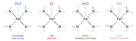 heme in various states