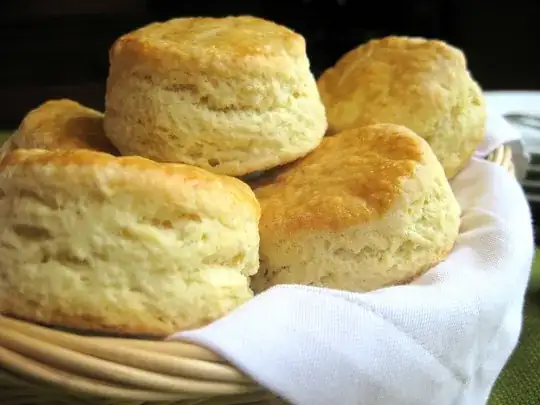 Biscuit