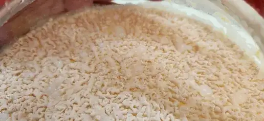 white mold on top of vinegar