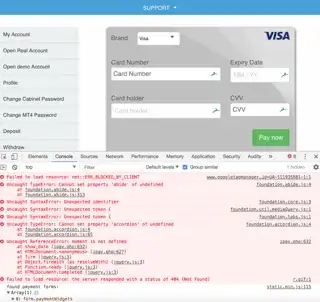 scam Visa form
