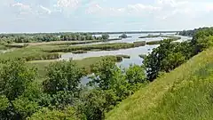 One example for Обʼєкт: Uk:Vegetation