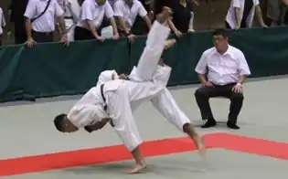 Judo Competition