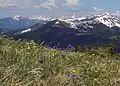 Alpine tundra in Colorado