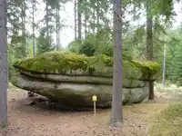 1221140868&nbsp;1221140868