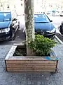 Baumbank / Tree seat