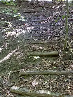 highway=steps surface=dirt material=wood ramp=no wheelchair=no handrail=no