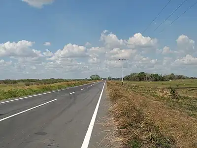 Típica vialidad nacional en las extensas planicies llaneras.