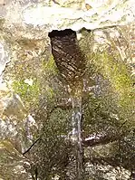 A natural spring on Mackinac Island in Michigan