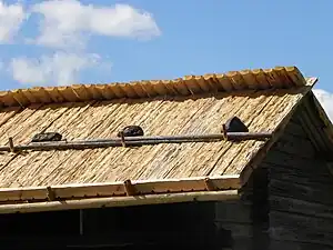 Roof covered with wood