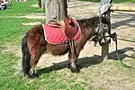amenity=animal_hitch + pony=designated + animal_hitch=rail