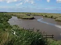 Small tidal channel in a salt marsh
