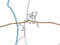 Turvey