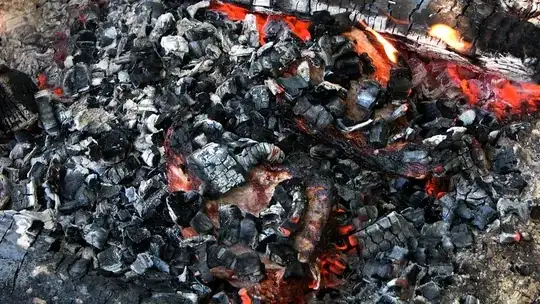 meat in the coals