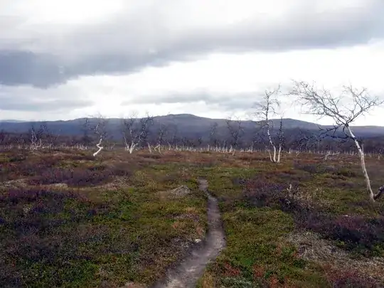 Approaching the merger between Sjnjuvtjudisjåhkå and Sjpietjavjåhkå, where Sarek, Padjelanta and Stora Sjöfallet meet