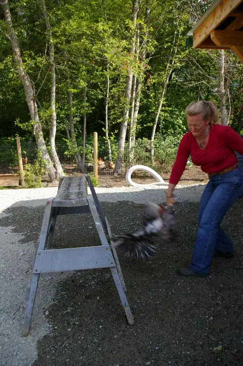 Swing bird overhead, grabbing by legs, hitting head on log or rock, source: howlingduckranch.wordpress.com/2009/07/15/butchering-chickens/