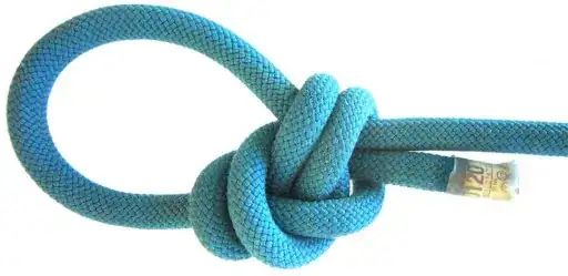 picture of bowline
