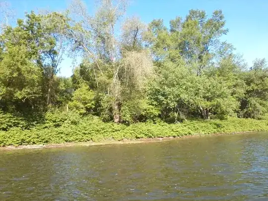 Draco Cemetery Canoe Launch from the River