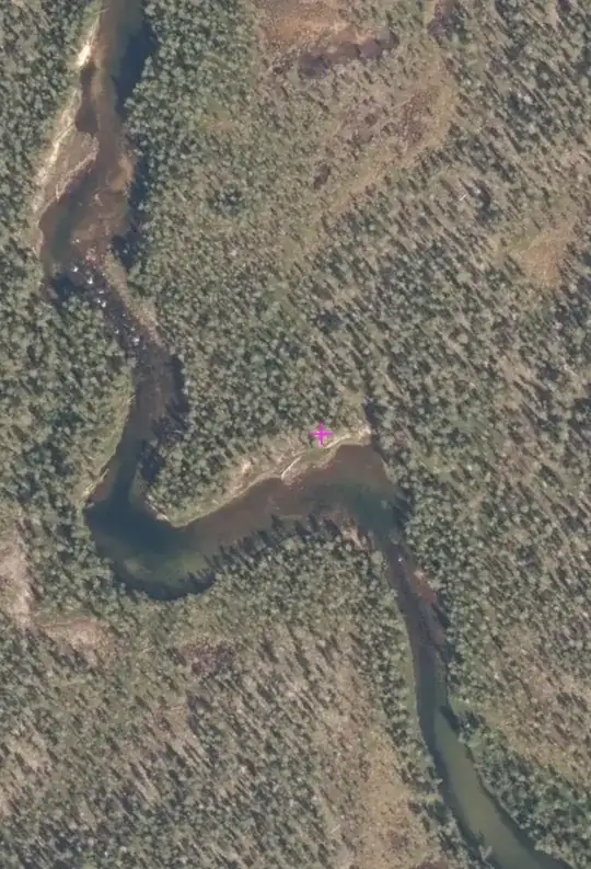 A river seen from a satellite