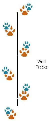 Wolf pattern
