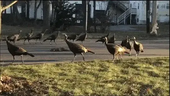turkey circle
