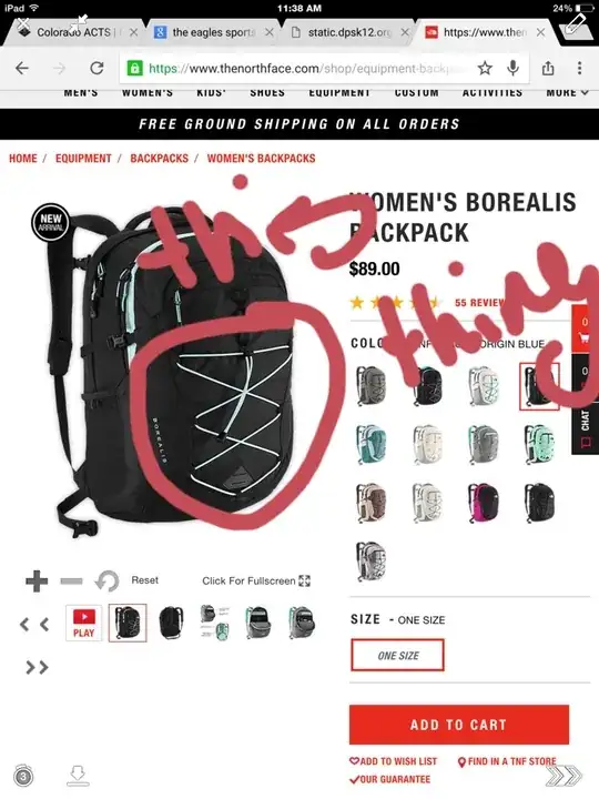 screenshot of backpack