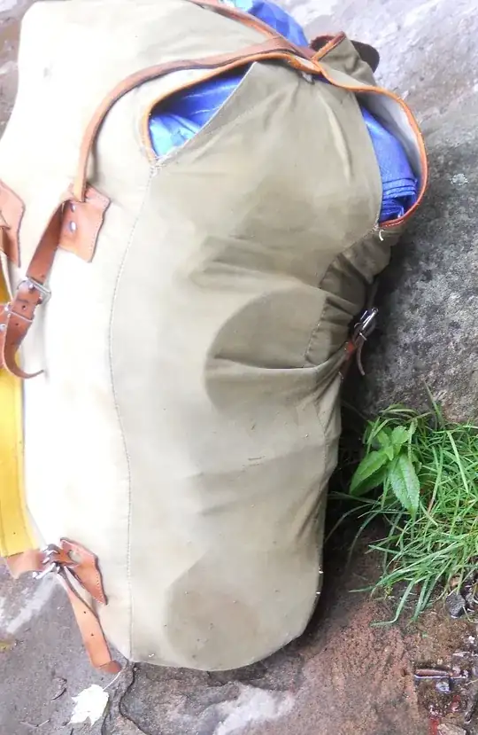 side view of an olive green backpack