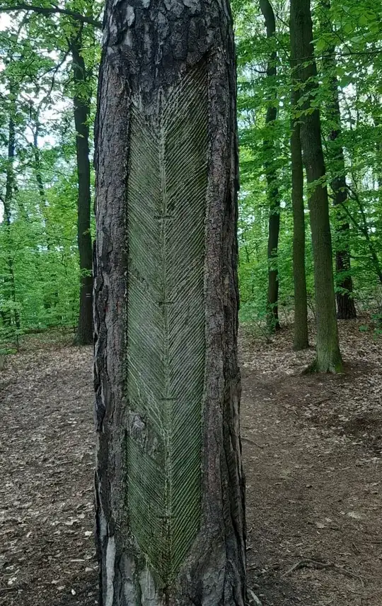 tree with 'V' chevron patterns
