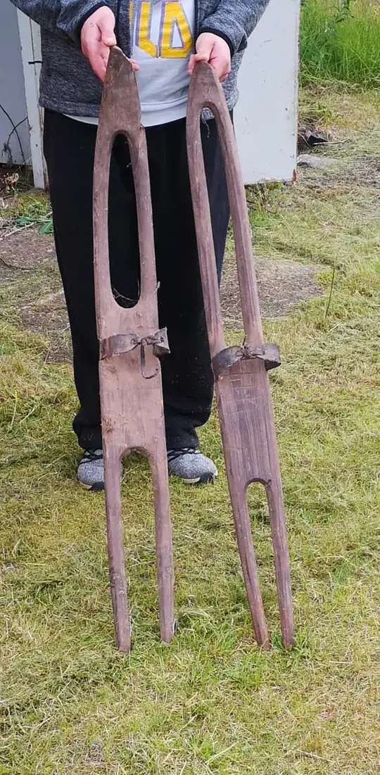 Mire skis