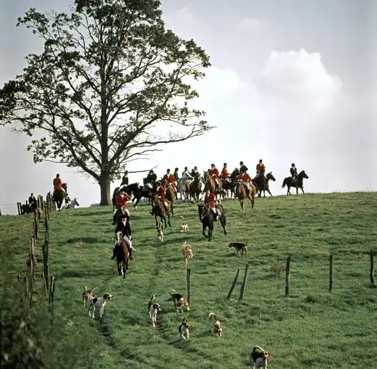Fox hunting