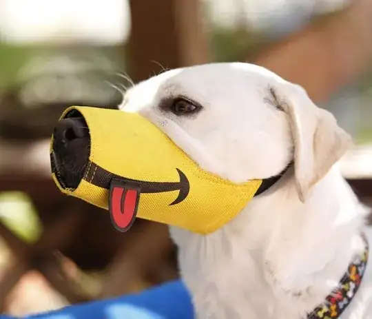dog wearing muzzle with a cartoon drawing on the muzzle to look as if the dog is smiling 