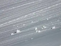 rolling snow
