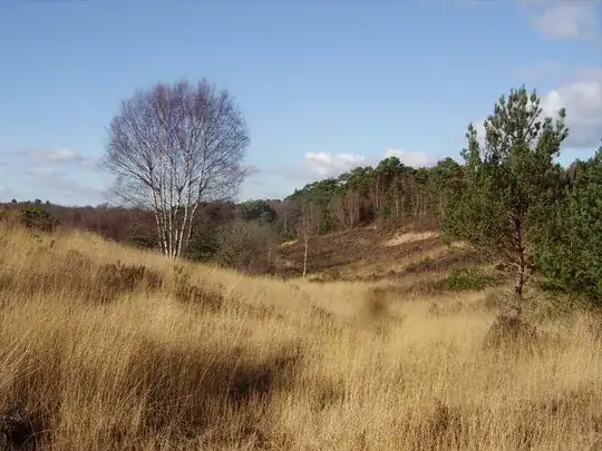 Castle Bottom