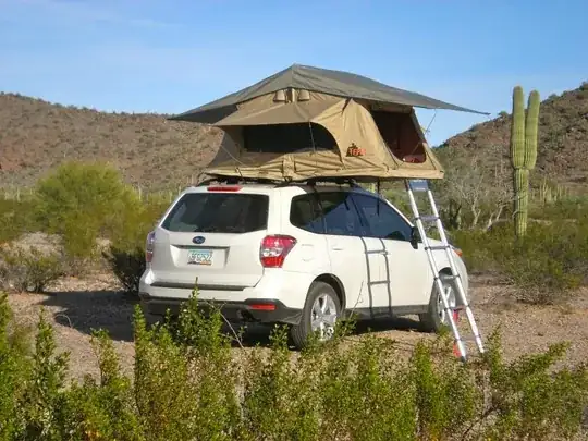 tree tent