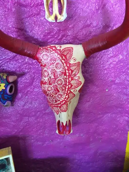 cow skull