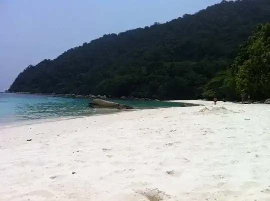 Turtle Beach