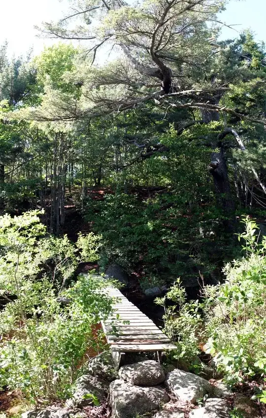 a small climb after water crossing