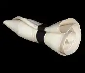 Rolled Panama Hat