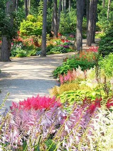 The gardens